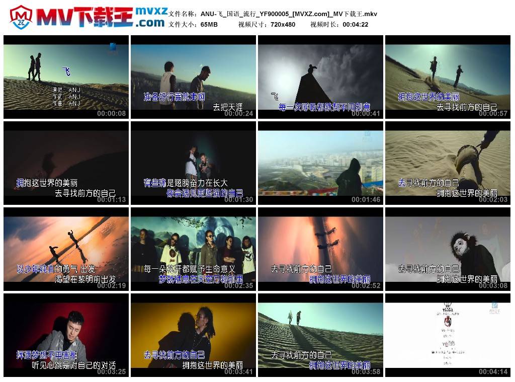 ANU-飞_国语_流行_YF900005